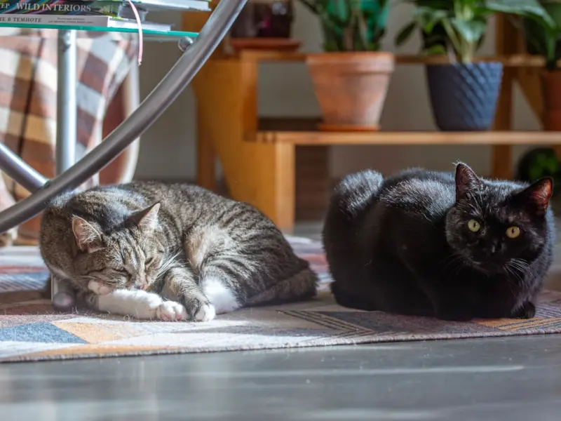 ta在这段感情中缺失了什么？挽回爱情要重视内在需求