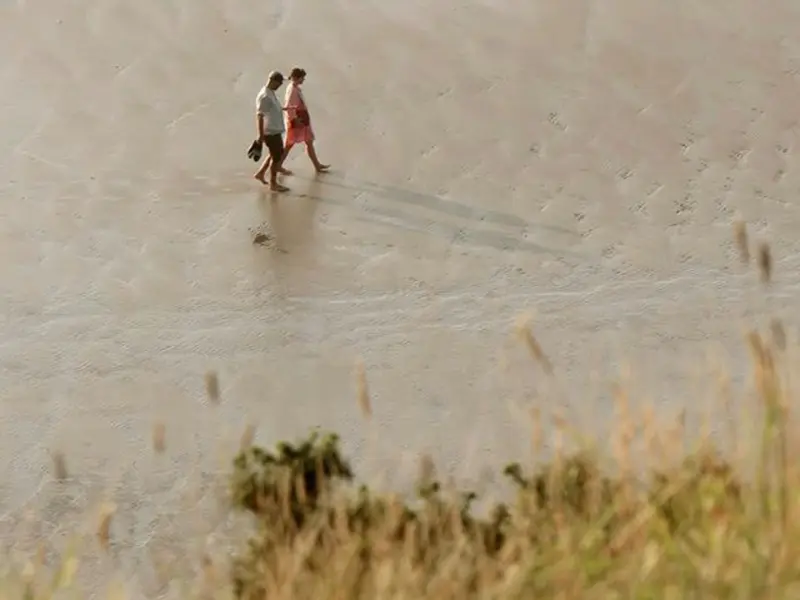 经久不厌的感情是怎样一种体验？