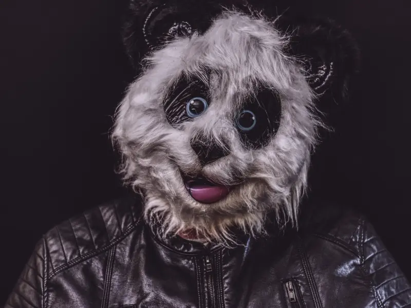 结婚到底是为了什么？就只因适婚年龄到了吗？