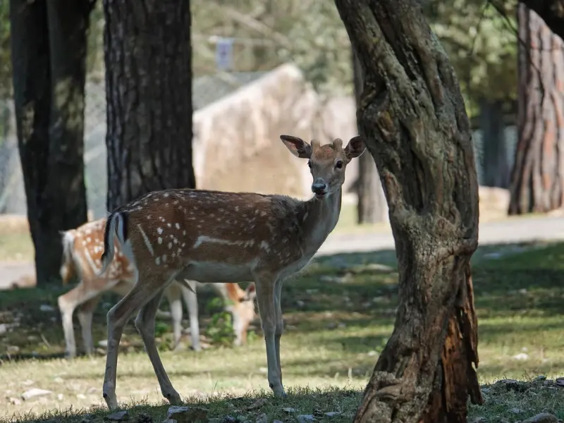 比陪伴更重要的，是这一个字！你知道吗？