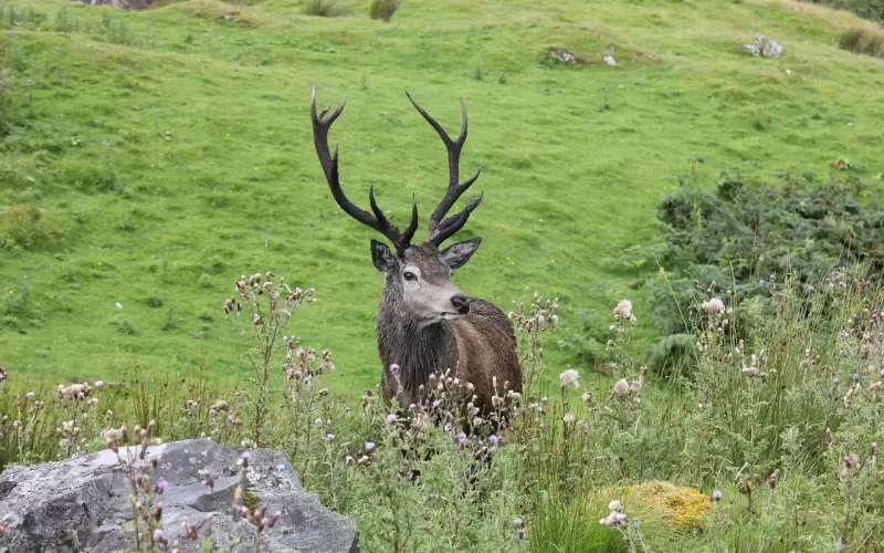 什么是情降系列（三十二）快问快答之情降的常见问题第二十二弹