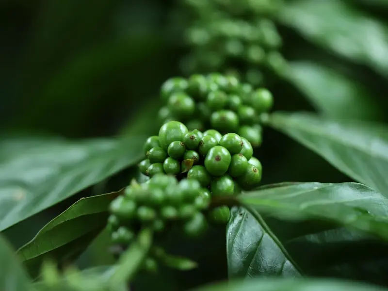 什么是前任的自我修养？看看贾静雯、胡杏儿，薛佳凝！