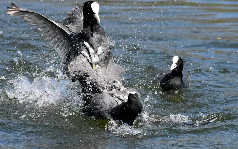 夫妻吵架怎么解决最好，吵架和好后感觉陌生了