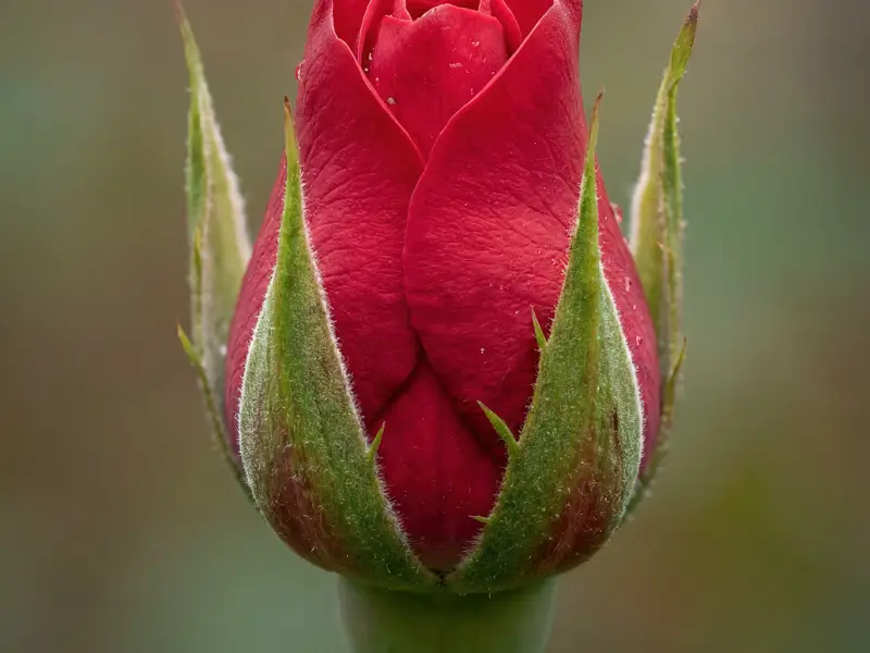 挽回爱情的正确方法是什么呢