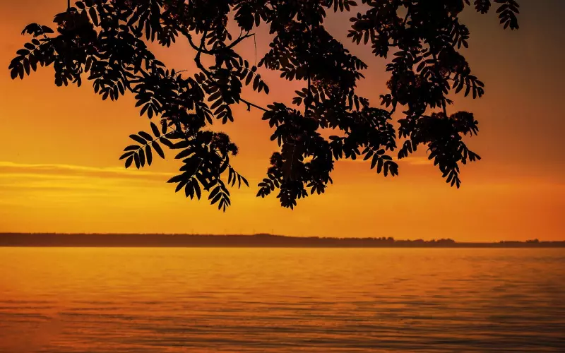 婚恋资询机构与婚介机构有什么区别？