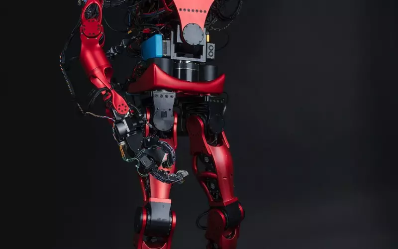 婚姻的本质是什么听完后恍然大悟(婚姻的本质到底是什么)