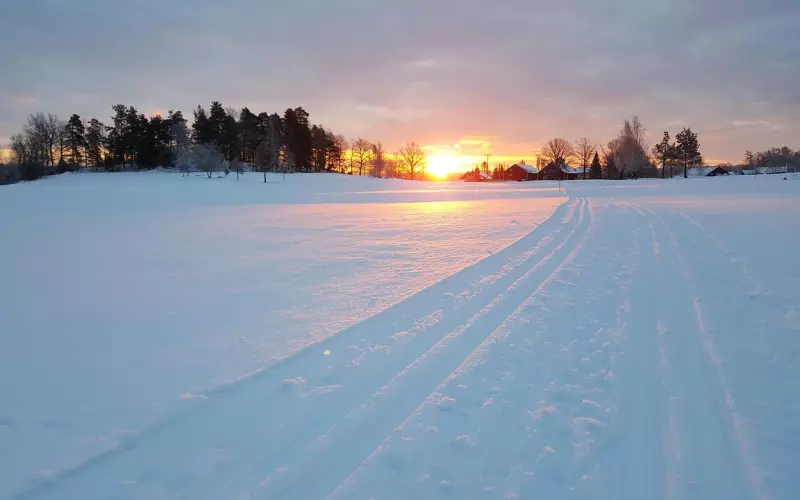 冷冻的作用和原理是什么？
