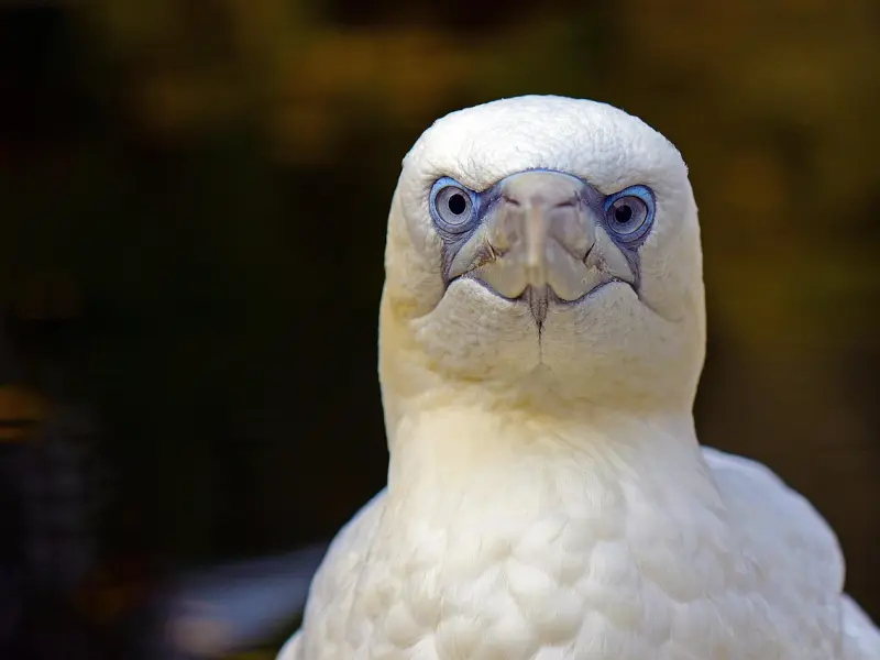 你在爱情里做过卑微的事是什么？（一篇打醒自己的文章）