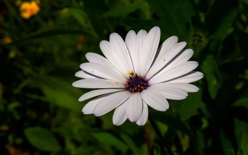 什么是情降系列（二）有反噬吗？反噬严重吗？