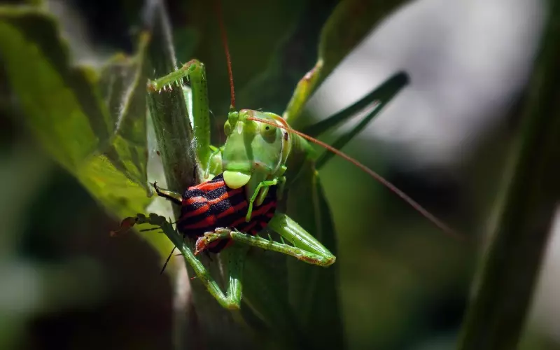 吸引力法则挽回前男友的方法是什么