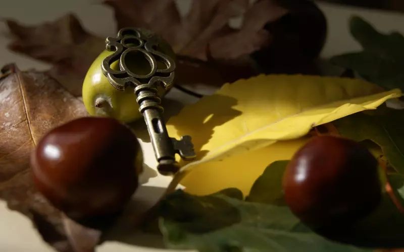 挽回男友最最最关键的在哪