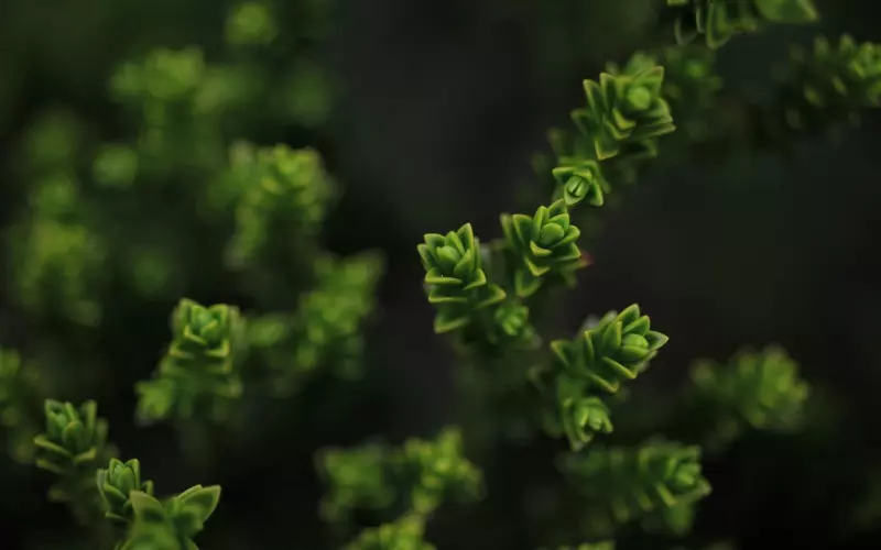 冷战的男人是什么心理？