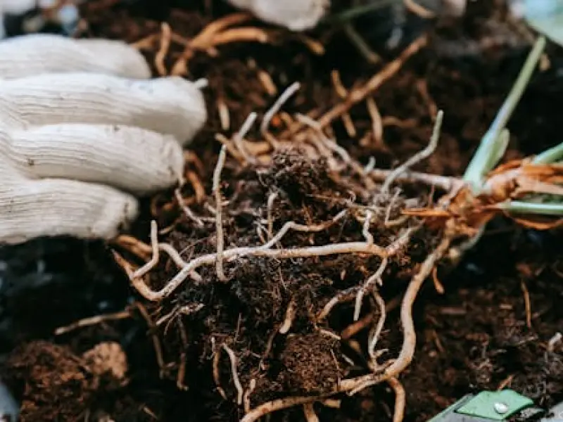 你“接受不了”的根源是什么?