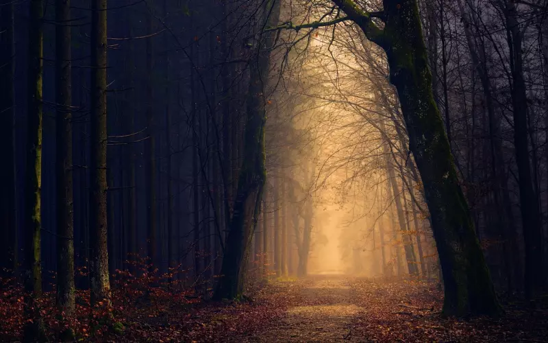 《前任3》挽回爱情的秘密到底是什么