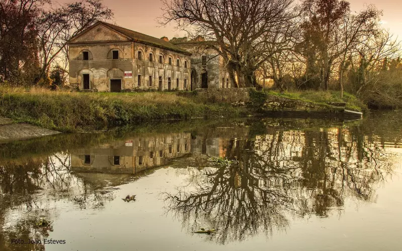 经常听到的泰国“阿赞”是什么？