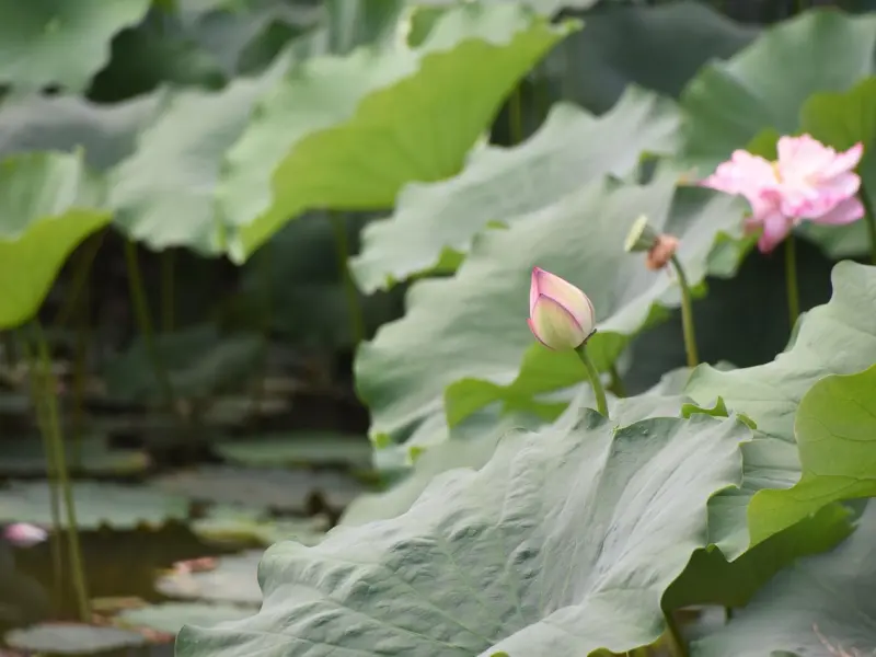 老公有了小三后怎样做才最明智？
