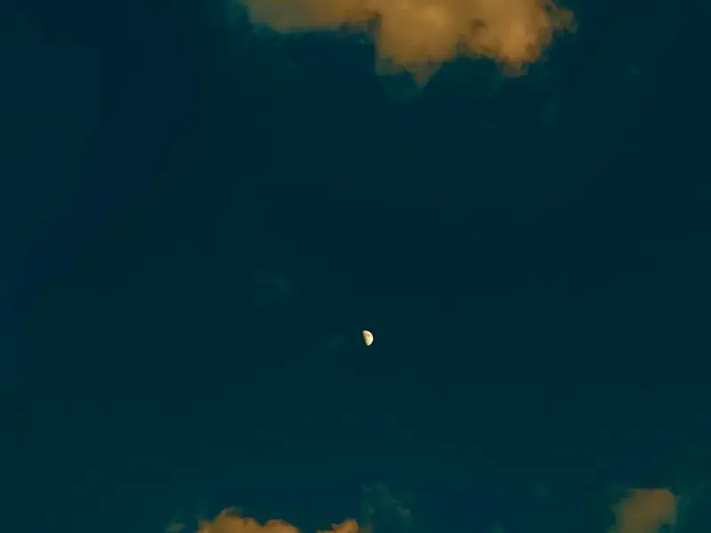 什么事感情博弈？利用感情博弈挽回昔日感情