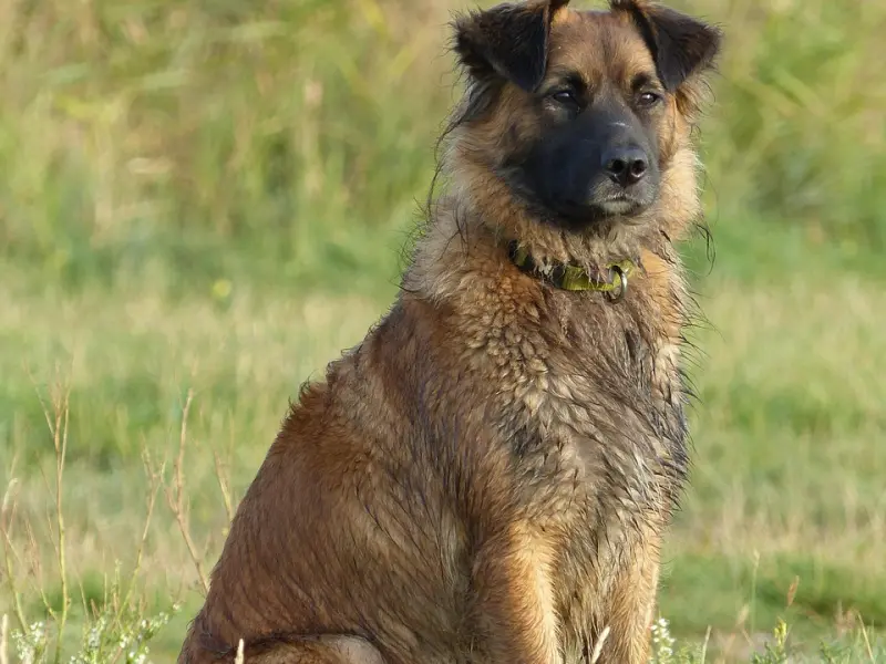 什么是信任？很短很好看