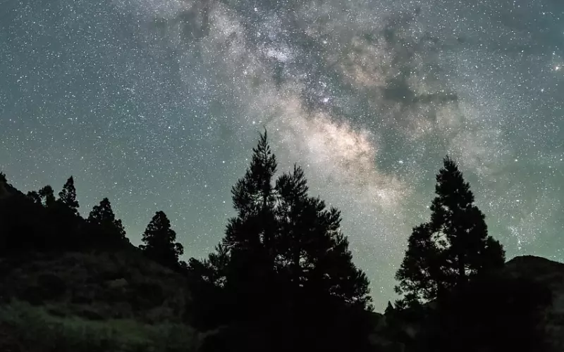 杀死爱情的是：合久必分，合久必婚？