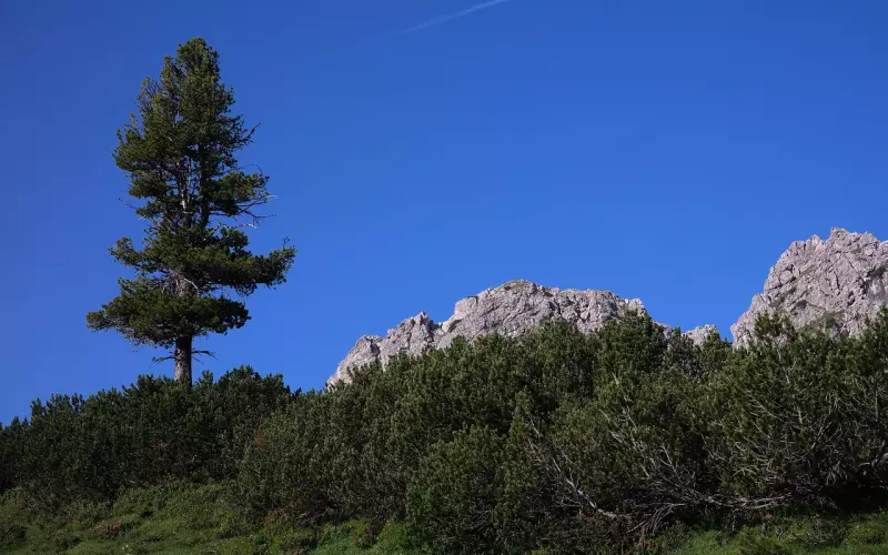 让白岩松、高晓松高调称赞的夫妻，到底拥有怎样的神仙爱情？
