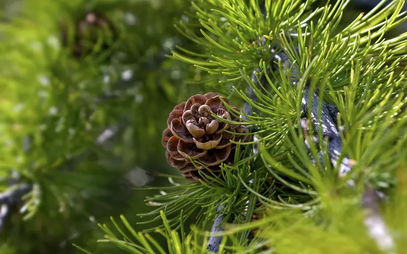 什么样的情感挽回机构才算靠谱？这几种千万别信！