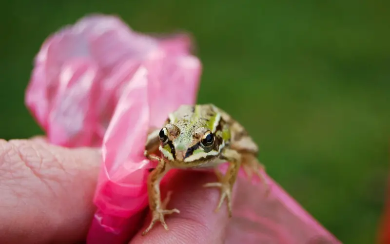 什么样的姑娘容易落在渣男手里？