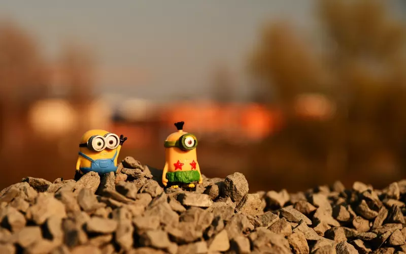 12星座男人最喜欢什么样的爱情？