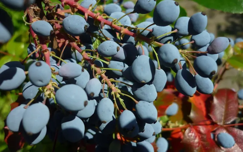 什么样的男人不能嫁？