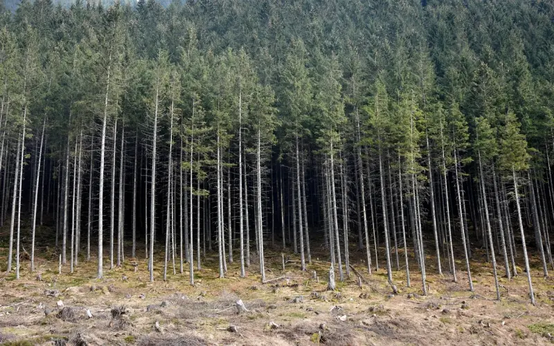 到底什么样的男人值得嫁？