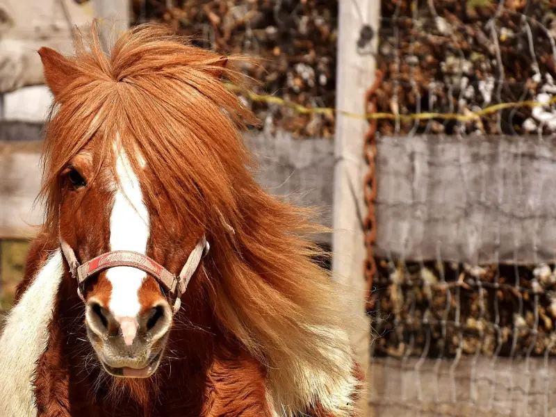 什么样的婚姻必须放弃，出现这种情况千万别将就