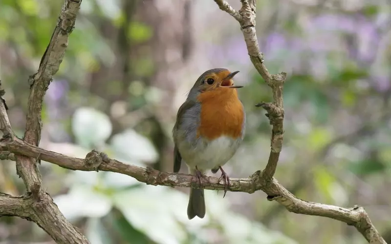 明知不合适还要去挽回是什么心态