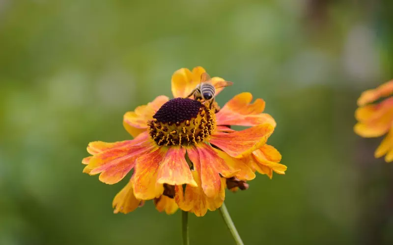 明知不合适还要去挽回是什么心态