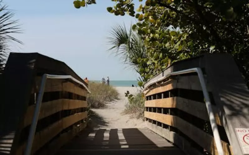 婚外情中什么样的小三最想上位(婚外情中最怕什么样的小三)