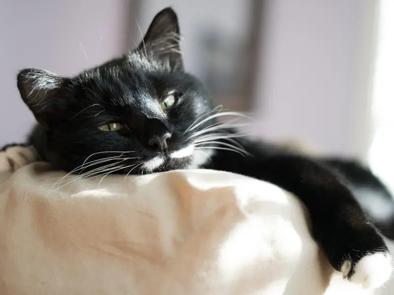 我们应该找个什么样的人结婚以及如何找的问题