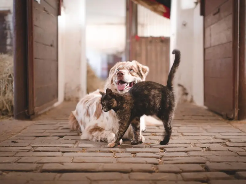 什么样的感情才算是稳定的