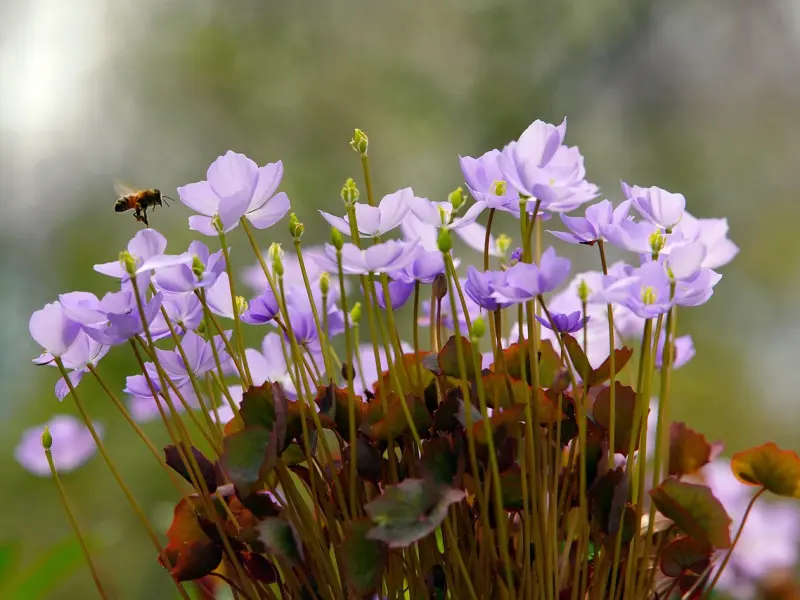 你有什么样的价值，取决于你谈过一场什么样的恋爱。