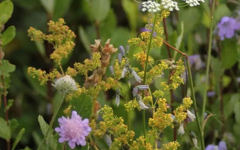 前任心里最渴望什么样的女人