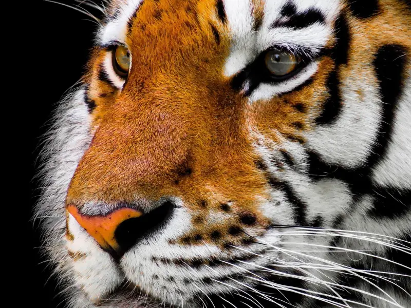 什么样的女人挽回最简单？大概就是这样的吧！