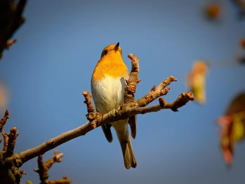 分手后是什么让女人决心把你拉黑？不告诉你永远不懂