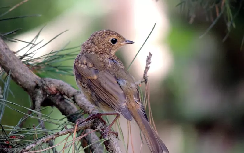 挽回爱情的什么方法一定不能做