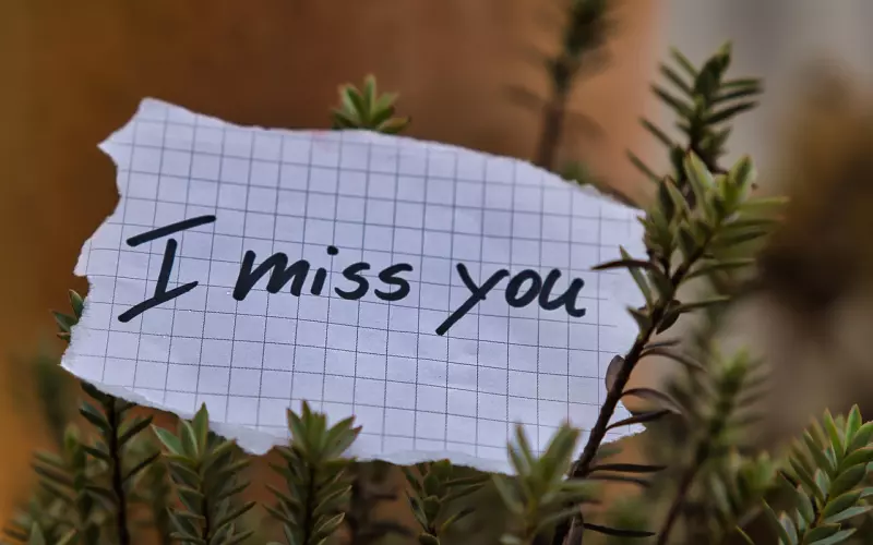 错过的爱人要成功挽回需避开哪些雷区