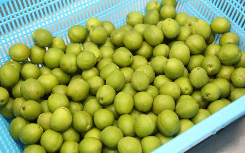 挽回男友过程中要小心哪些雷区