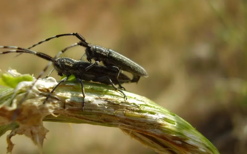 挽回爱情需要警惕哪些错误？
