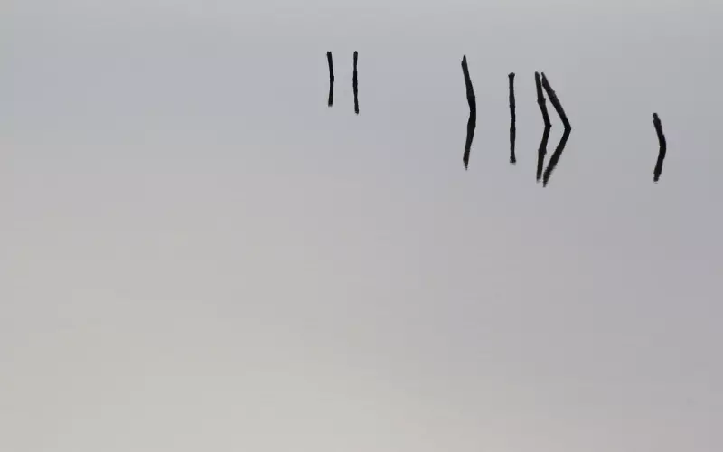 挽回爱情应该注意哪几点？