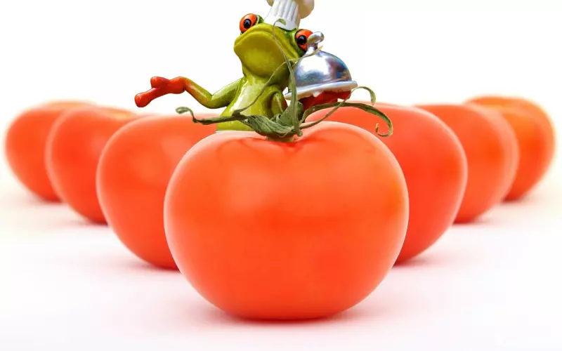 挖墙脚之前该做哪些准备？