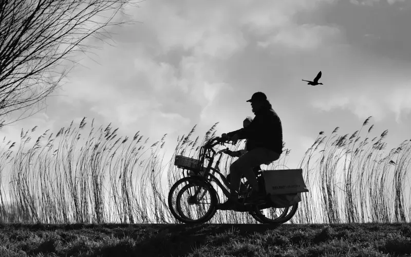 出轨的人看到出轨新闻时，会有什么心理活动呢？