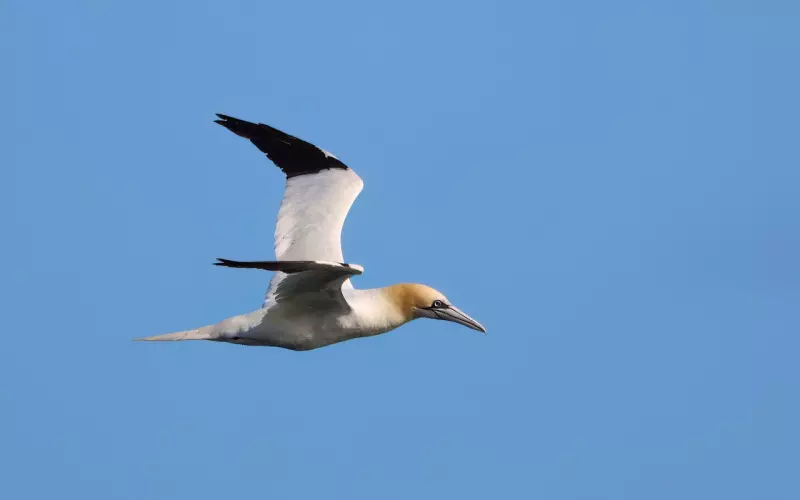 会让男人上瘾一辈子的女人会有怎样的品质