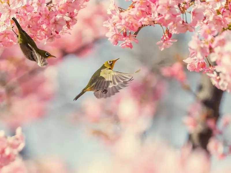 有哪些让你一眼相中的句子？念旧的人，活得像个拾荒者！