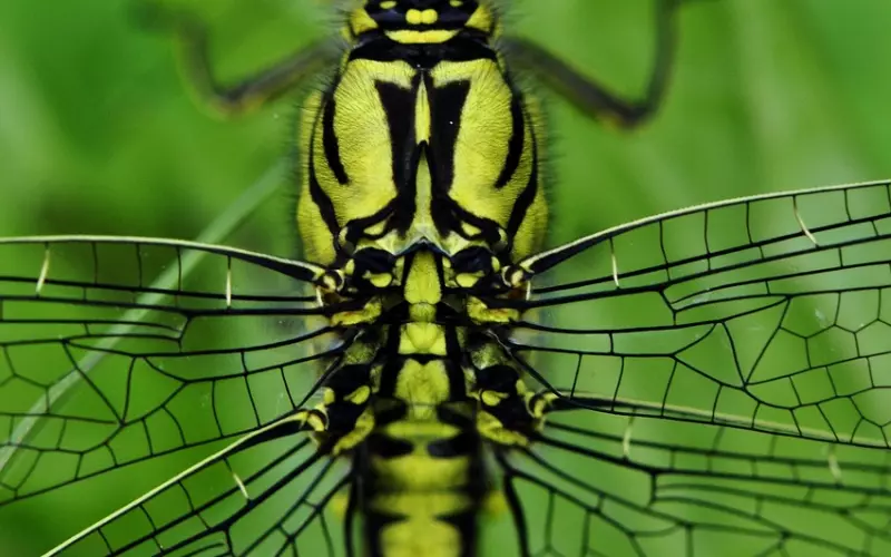 让你们分开的不是“年龄差”，而是沟通差。