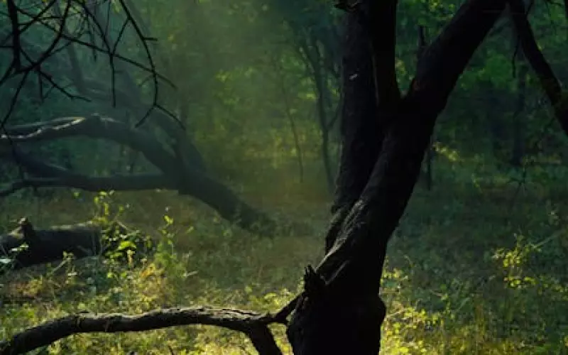 女生提分手男生失恋后怎么办(女人为什么会在失恋期间提分手)